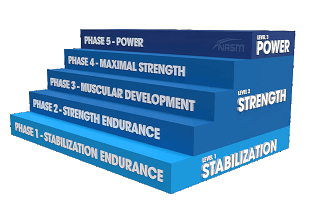 NASM OPT Model · 5 Phases